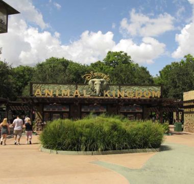 Entrance to Disney Animal Kingdom