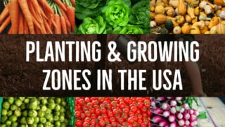 Planting & Growing Zones in the USA